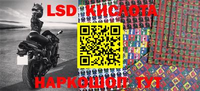 стафф Берёзовский