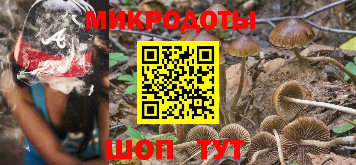 Псилоцибиновые грибы GOLDEN TEACHER Калуга
