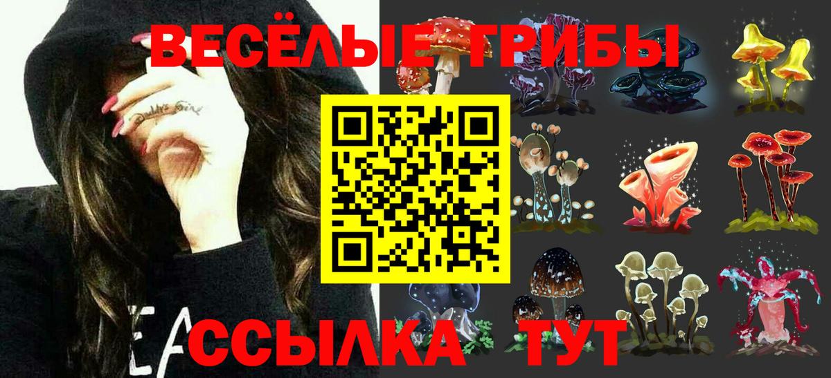 Псилоцибиновые грибы Cubensis  где продают наркотики  Калуга  Вход с VPN 